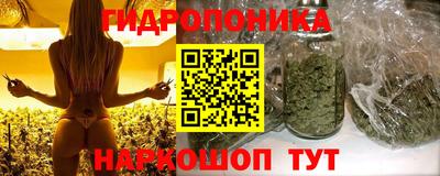 дурь Славянск-на-Кубани