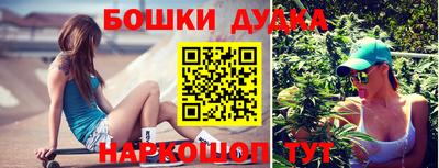 spice Сланцы