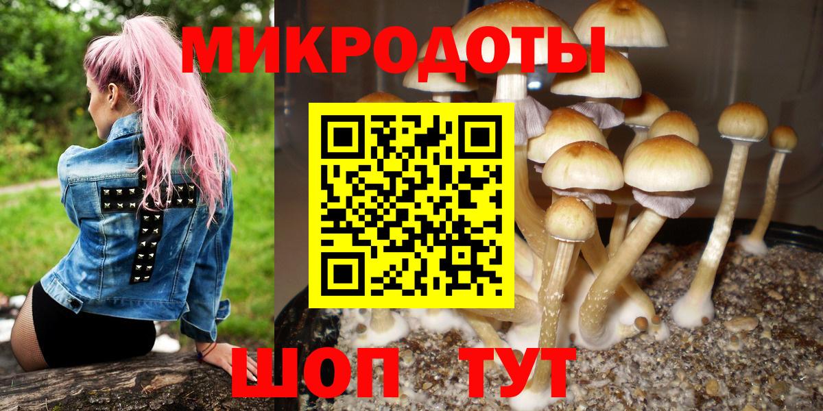 Псилоцибиновые грибы ЛСД Петропавловск-Камчатский