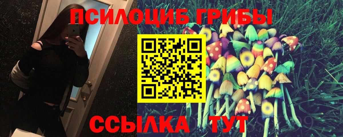 Петропавловск-Камчатский  Псилоцибиновые грибы Psilocybe  Галлюциногенные грибы мицелий  Вход с VPN 